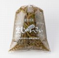 【期間限定】生じゅんさい（Ｍサイズ）-1kg-秋田県三種町産-