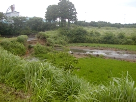 水害のツメ跡・・・（堤防決壊）