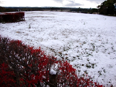 初雪　～　束の間の冬景色